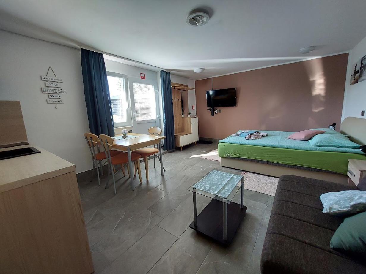 Studio Apartma Zirovnik Cerklje na Gorenjskem Exterior foto